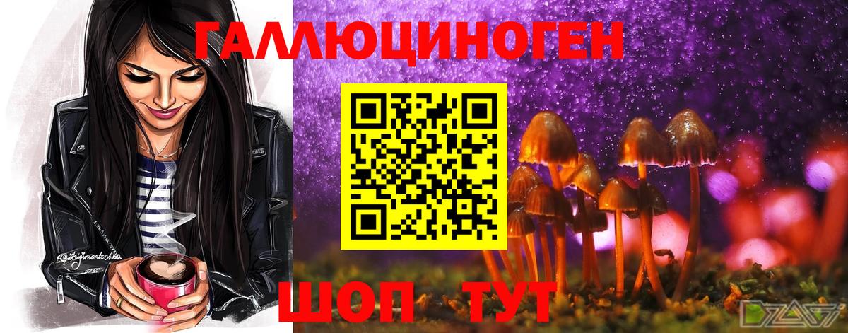 Галлюциногенные грибы Psilocybine cubensis Волжский