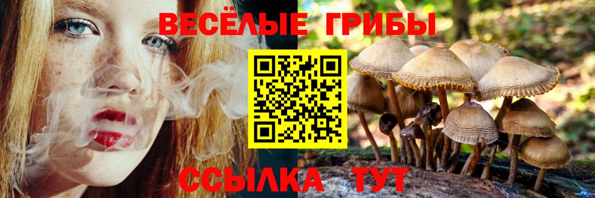 Псилоцибиновые грибы MAGIC MUSHROOMS  Вход с VPN  Псилоцибиновые грибы Magic Shrooms  Волжский 
