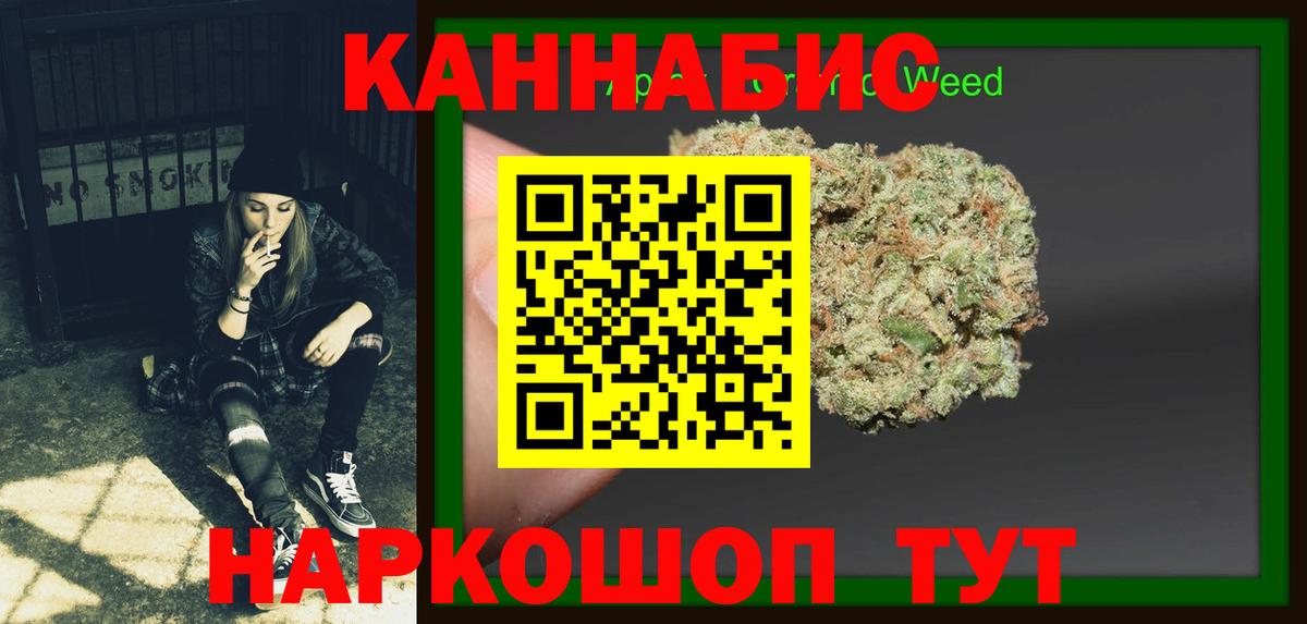 Каннабис планчик Волжский